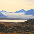 Landscape-8