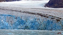 "The almost complete melt-away of the multi-year ice in recent summers has really knocked the core productivity of the whole ecosystem," says Jamie Watts, ship leader and marine life enthusiast. 