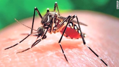 The origin of the Zika virus - CNN Video