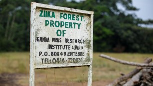 A well-worn sign is the only indication of the start of the Zika forest, Uganda&#39;s only preserve devoted entirely to science research.