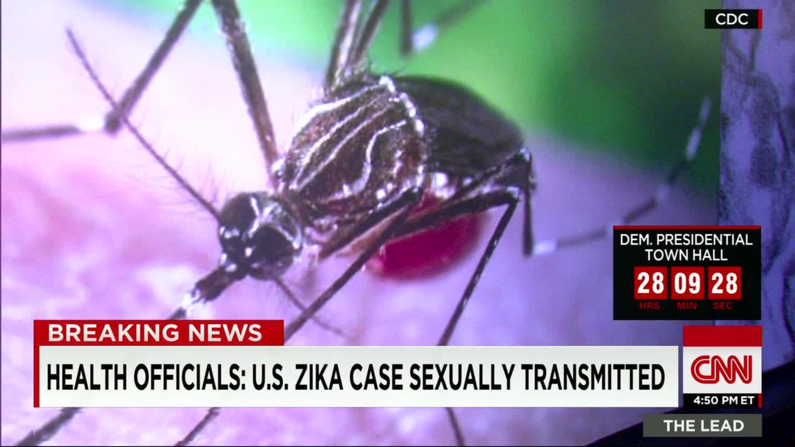 Zika Cluster In Dallas Texas Via Sexual Transmission United States Recombinomics Inc 6481