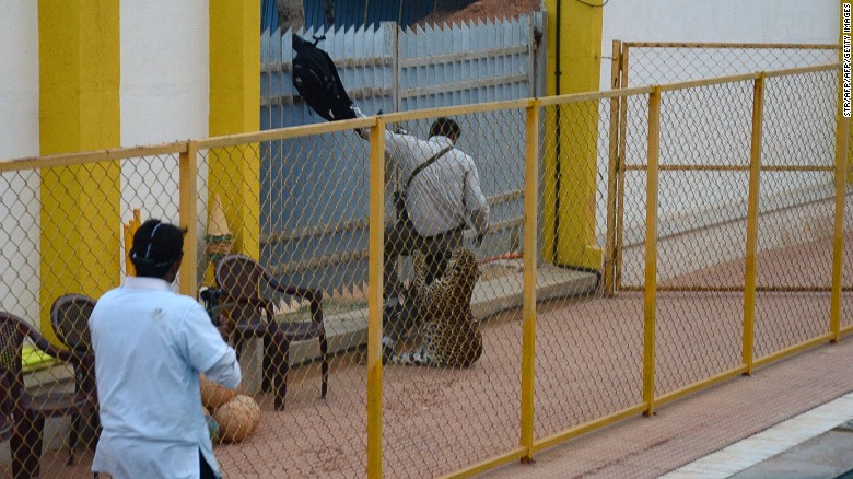 The leopard mauls a man after dragging him down from a fence he attempted to climb over to escape.