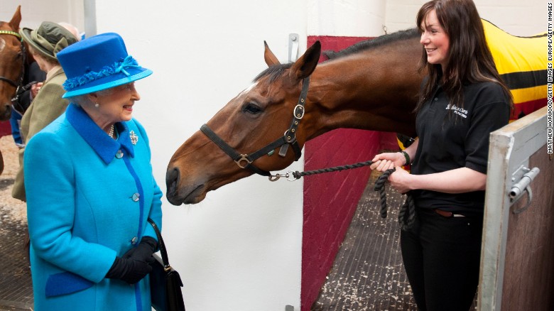 A smiling Queen Elizabeth II, known for her love of horses, grabs the attention of this equine.
