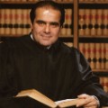 scalia headshot