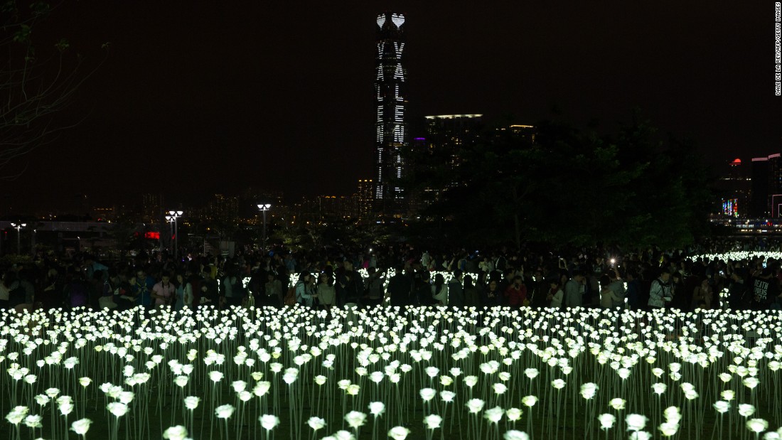 Light Rose Garden illuminates Hong Kong's skyline