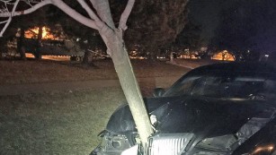 Another view of the tree lodged into the front grill of the car.