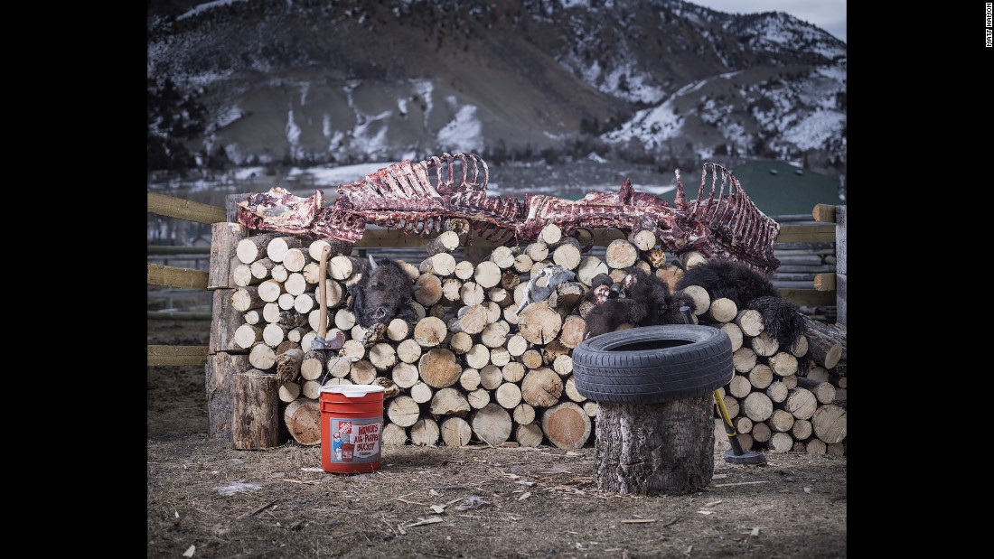 Hamon είπε τι τον εντυπωσίασε είναι η ομάδα & # 39? S επινοητικότητα.