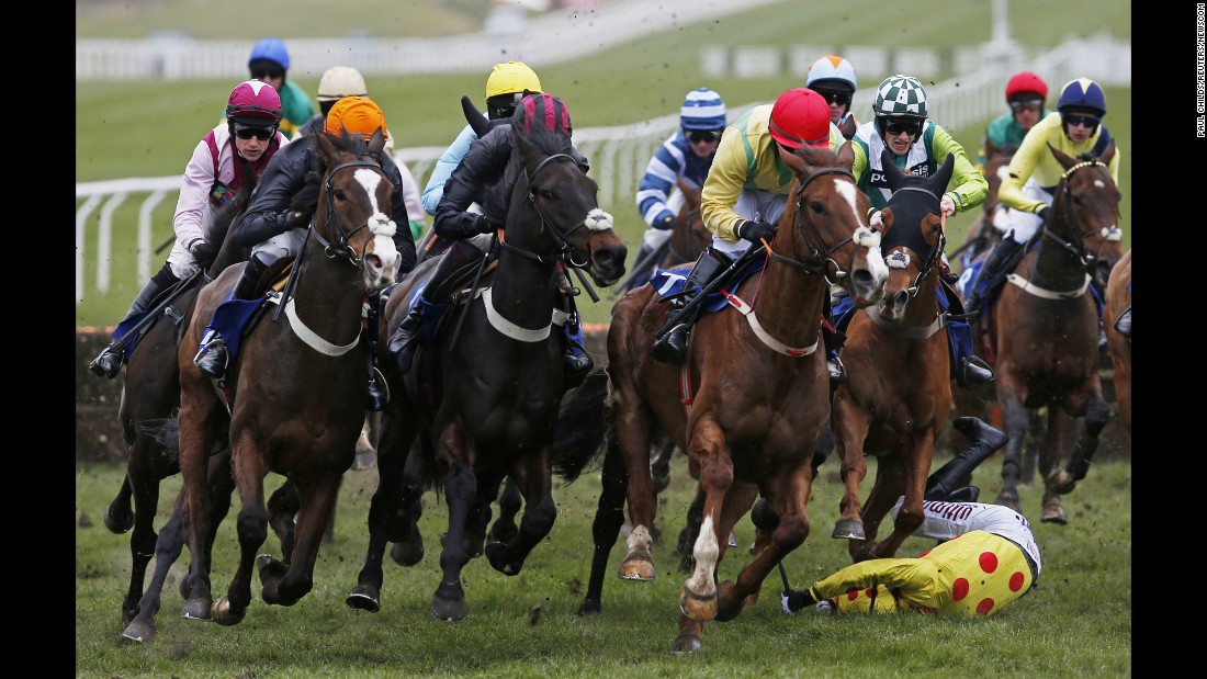 Wayne Hutchinson falls off Montbazon during a race at the Cheltenham Racecourse in England on Friday, March 18. He was able to walk away after the accident.