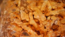 coral fossil university of iowa pkg _00000426.jpg