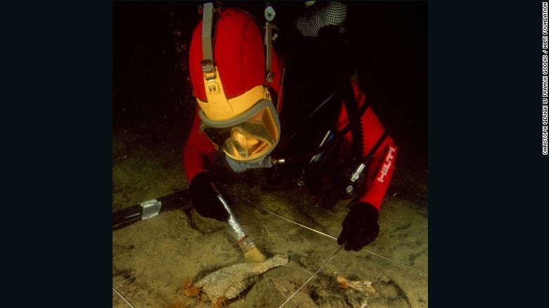 Bulls were sacrificed as part of the cult of Apis, and archeologists discovered bovid remains on the seabed in Canopus. Meanwhile animal bones and remains of food offerings were uncovered among votive objects at Thonis-Heracleion.&lt;br /&gt;