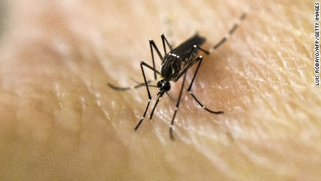 What you need to know about Zika