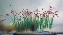 "Elegy: Explosion Event for the Opening of Cai Guo-Qiang: The Ninth Wave", Shanghai, 2014.