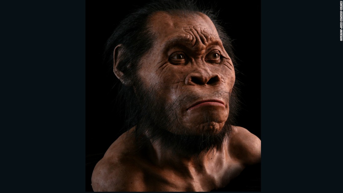 This reconstruction of Homo naledi by paelo-artist John Anthony Gurche took 700 hours to complete and is made of silicone with acrylic eyes. Each gland and muscle is carefully crafted.&lt;br /&gt;