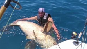 400 pound fish caught with wrench pkg_00002609.jpg