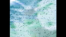 Bullet holes mark an area where people practice their shooting skills.