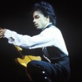 RESTRICTED 31 prince FILE