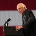Democratic presidential candidate Bernie Sanders addresses the crowd during a campaign rally at the Big Sandy Superstore Arena,  April 26, 2016 in Huntington, West Virginia.