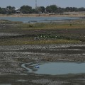 GettyImages-526701860India drought