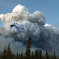 09 CA wildfires 0505