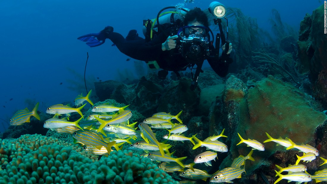 For travelers reluctant to suit up for scuba diving, CuraÃ§ao offers mini submarine excursions operated by Substation CuraÃ§ao.