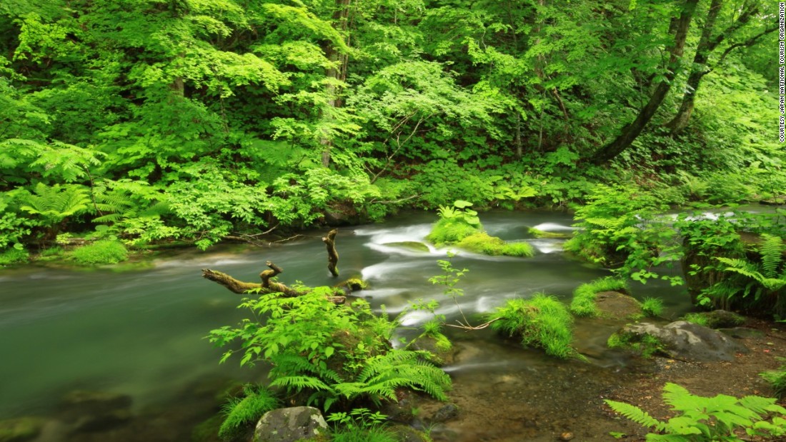 The park is made up of two areas -- Hachimantai and Towada-Hakkoda, the latter of which includes Honshu's largest crater lake, Lake Towada, and most of the Oirase River valley that exits into the Pacific Ocean.