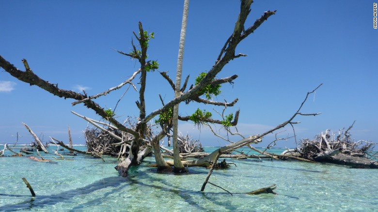 The island of Sogomou , part of the Solomons chain, lost 55 percent of its land surface between 1947 and 2014. Photo taken in October 2013.