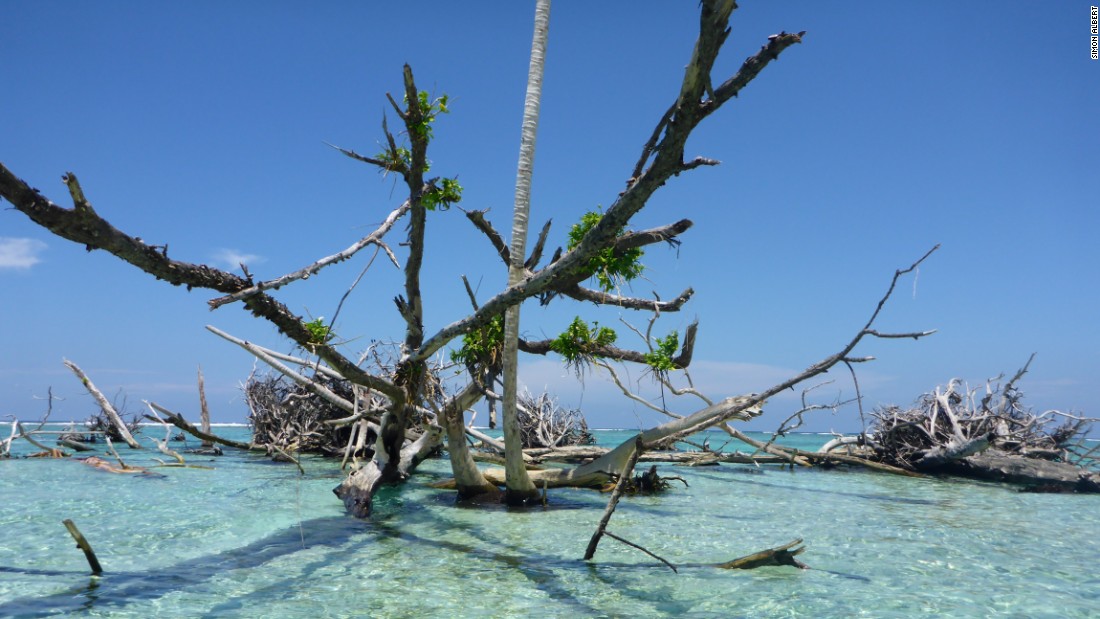 The island of Sogomou , part of the Solomons chain, lost 55 percent of its land surface between 1947 and 2014. Photo taken in October 2013.