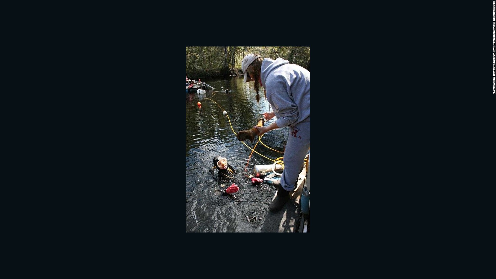 Divers excavated bones and tools from the Page-Ladson, which is 30 feet underwater in the Aucilla River