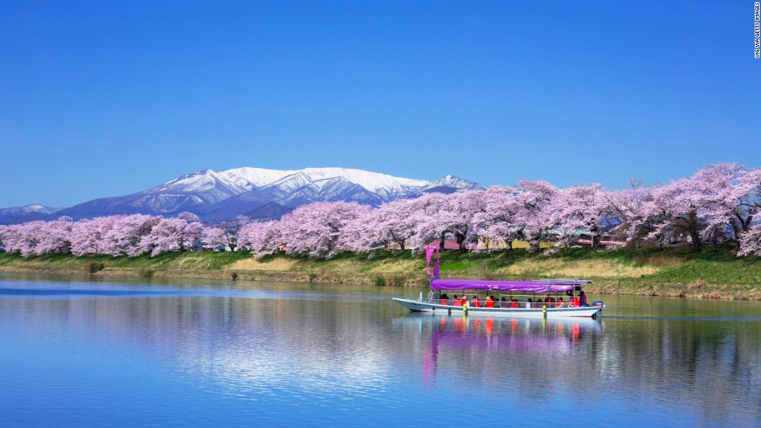 Come cherry blossom season Tohoku doesn't disappoint. Miyagi's Shiraishi River hosts an annual Ogawara Sakura Festival -- said to be one of the country's top cherry blossom viewing experiences. 