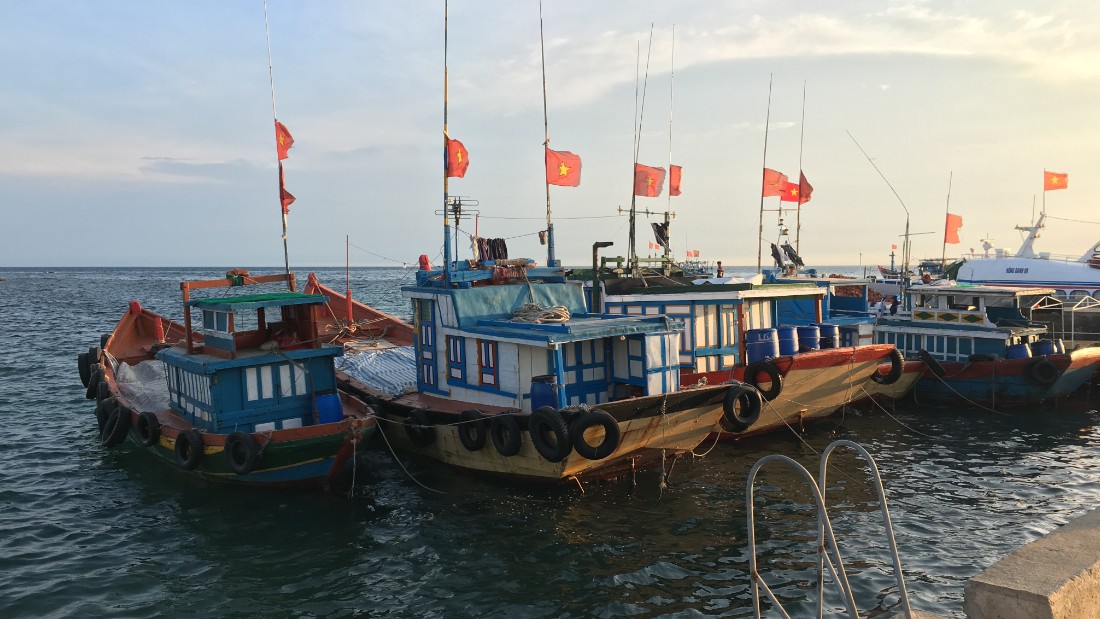 Fishing boats in Ly Son harbor