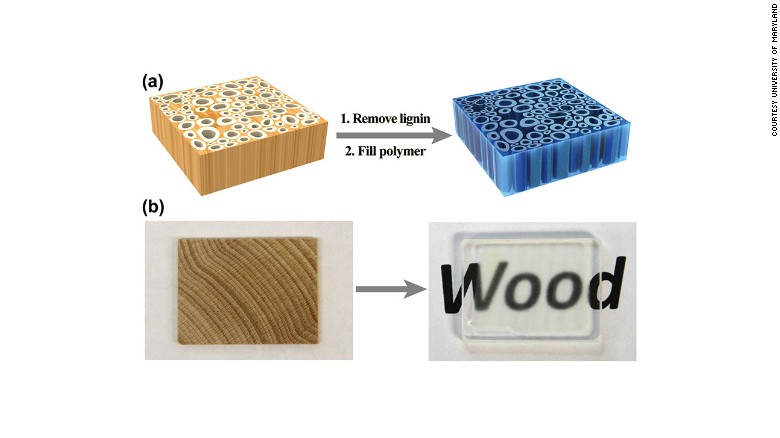 After the color is removed, polymers or epoxies can be injected to strengthen the wood. The result is stronger, transparent wood