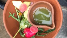 Bunyadi's seasonal menu has vegan and non-vegan options. This starter pairs pickled apple and salted cucumber with an English garden soup.