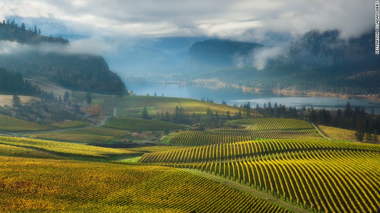 Lakes like Vaseux (in the picture) shield Okanagan's soils from extreme climates, making it an ideal spot for hardy vines to grow.