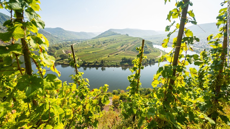A trip along the scenic Moselle River reveals some of the terraces of the steepest vineyard slopes to be found anywhere. 