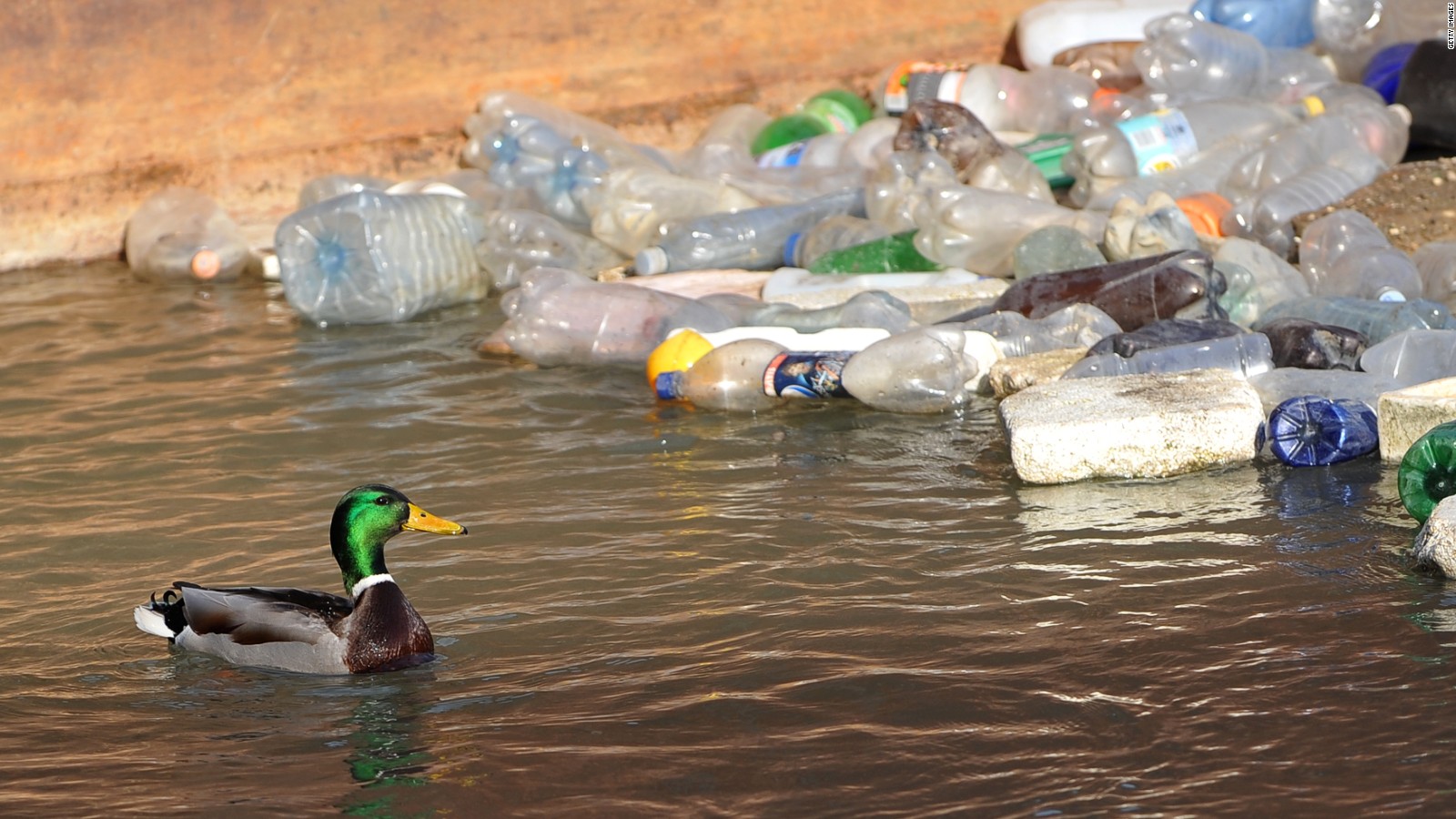 Scientists turn old plastic bottles into fuel
