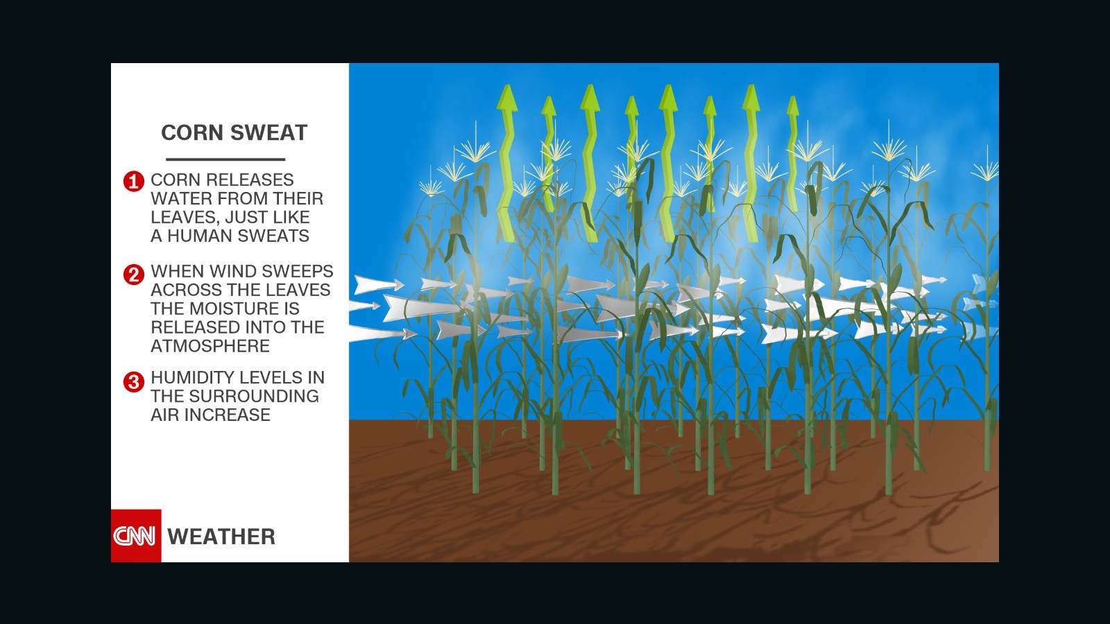 Humidity levels increase across the plains in the summer months due to evapotranspiration.