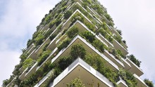 More than 800 trees have been planted on steel-reinforced balconies with the aim of combating urban pollution as well as containing urban sprawl.