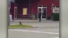 munich video appears to show shooter _00002506.jpg