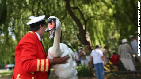 Royal patrol counts the Queen's swans