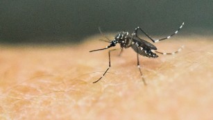Cities, counties scramble to take on Zika