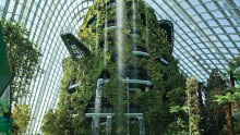 Cooled Conservatories, Gardens by the Bay
