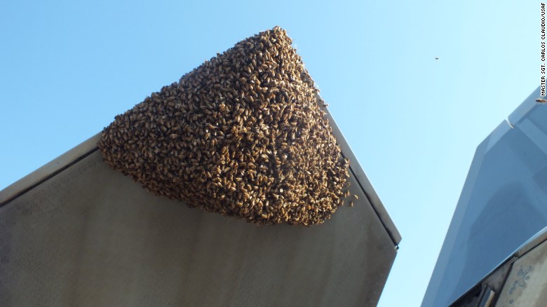 160812105543-f-22-bees-nozzle-exlarge-16