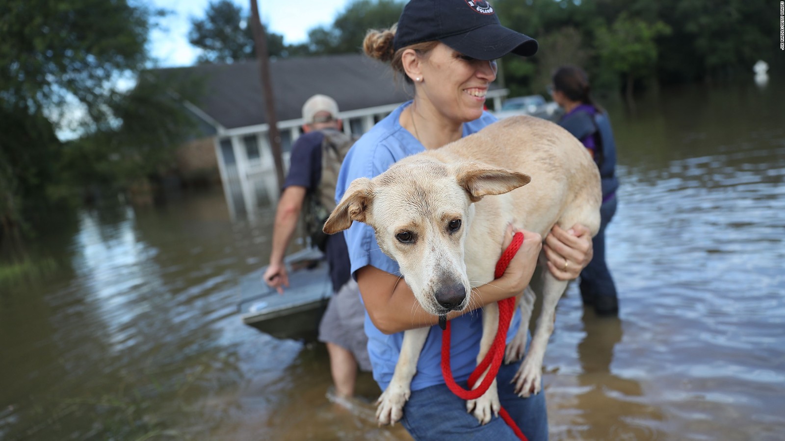 Ann Chapman from the Louisiana State Animal Response Team carries a dog she helped rescue in Baton Rouge.