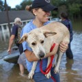 11 la-flooding 0815
