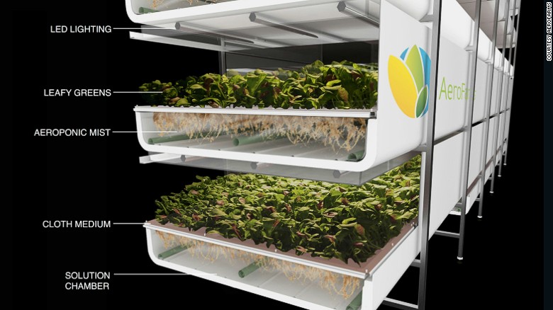 Images from inside Aerofarms, a vertical farming company based in Newark.