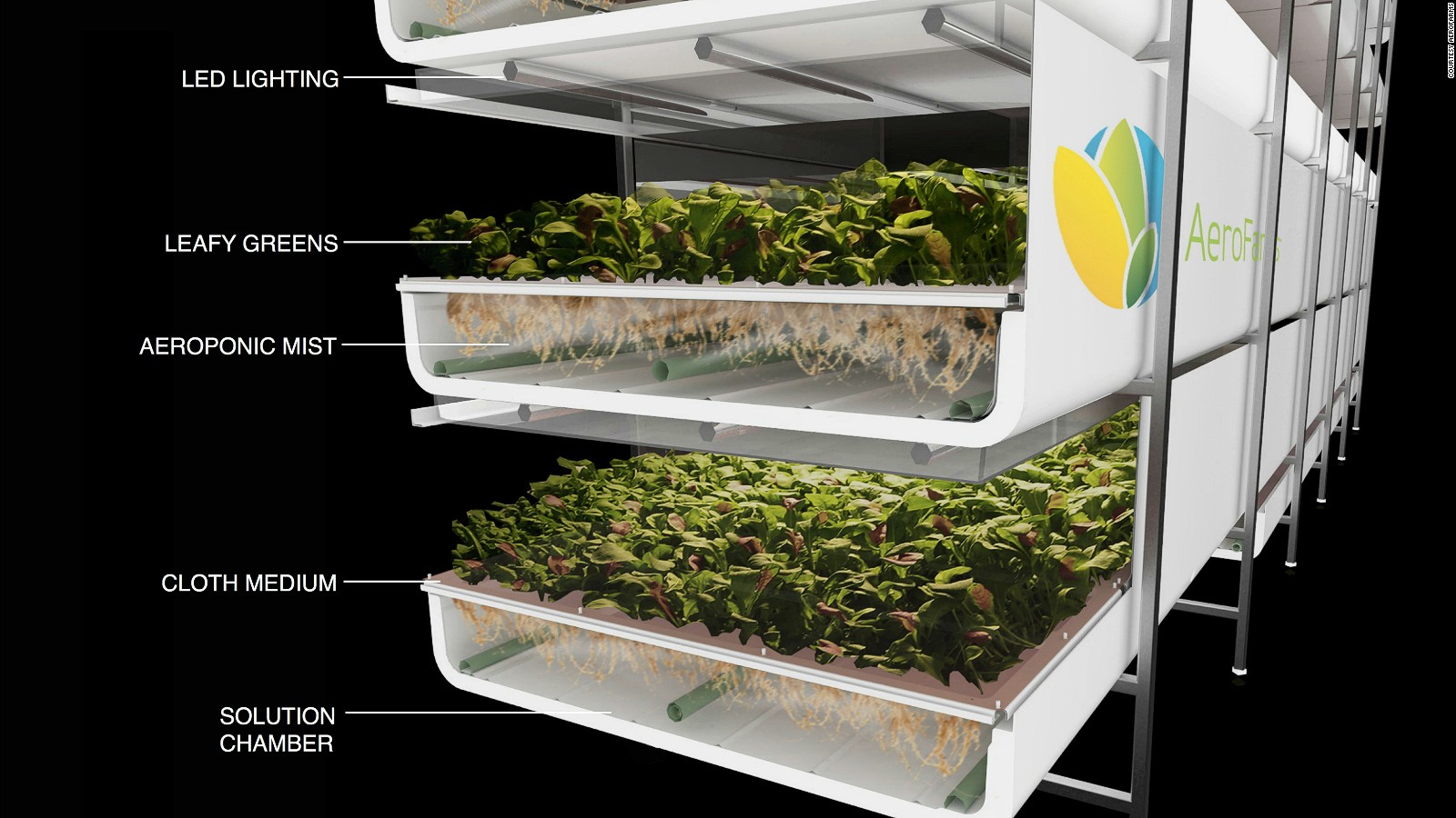Images from inside Aerofarms, a vertical farming company based in Newark.