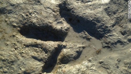 an corran beach dinosaur footprint