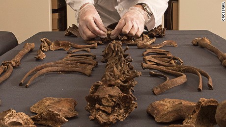 DNA reveals cause of London's Plague