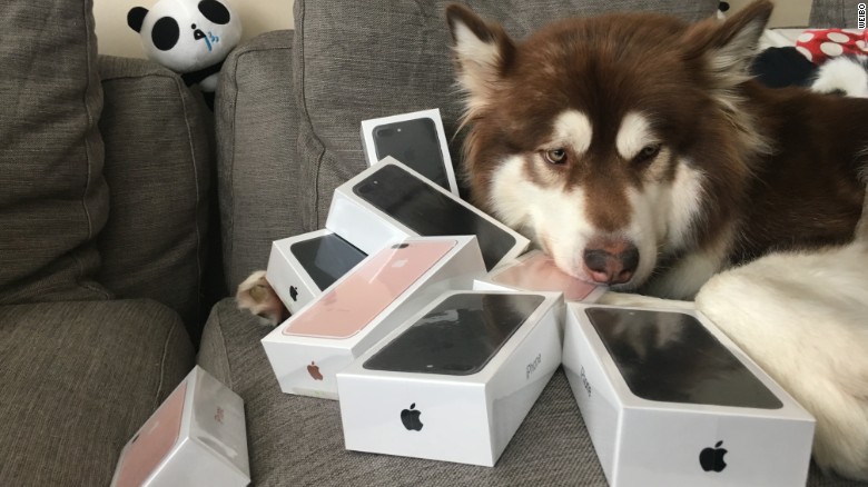 Son of Chinese billionaire buys iPhone for his dog