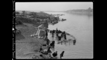 Among the many activities on the Tigris River in Mosul was wool washing.